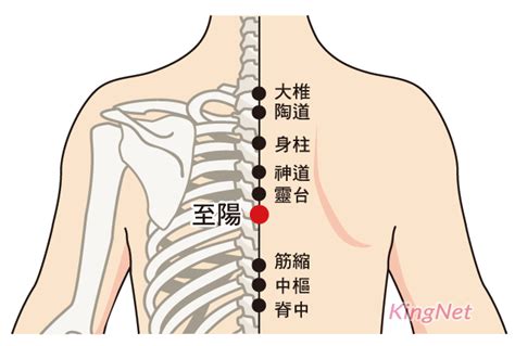 至陽之物